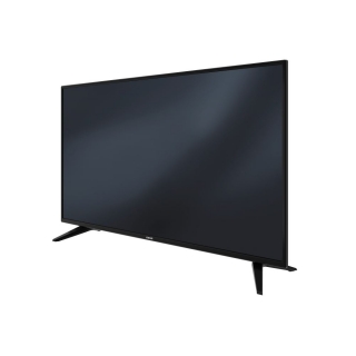 Altus AL43L 4960 4B Full HD (FHD) TV