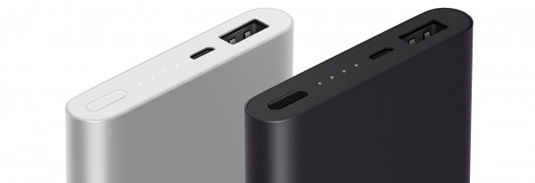 Xiaomi Mi 2 10000 10000 mAh Powerbank (10000 mAh)