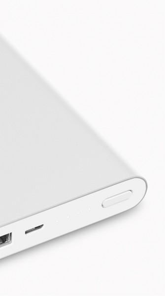 Xiaomi Mi 2 10000 10000 mAh Powerbank (10000 mAh)