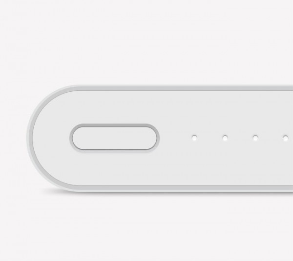 Xiaomi Mi 2 10000 10000 mAh Powerbank (10000 mAh)