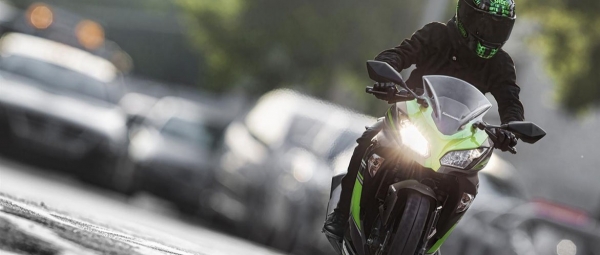 Kawasaki Ninja 300 KRT Naked
