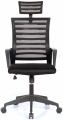 Seduna Stone XLeader resim