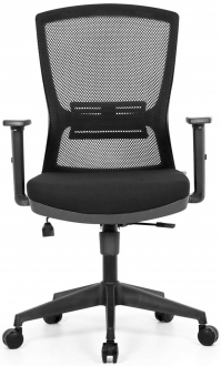 Seduna SeWork Pro Çalışma Koltuğu