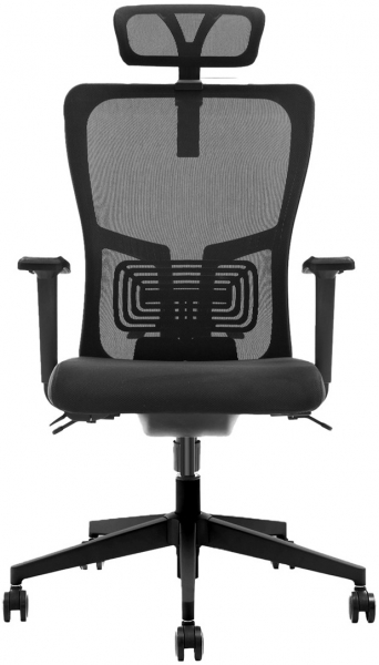Decofis Lumbar Plus Yönetici Koltuğu