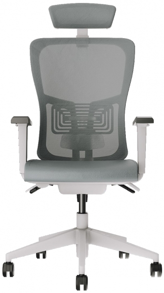 Decofis Lumbar Plus Yönetici Koltuğu
