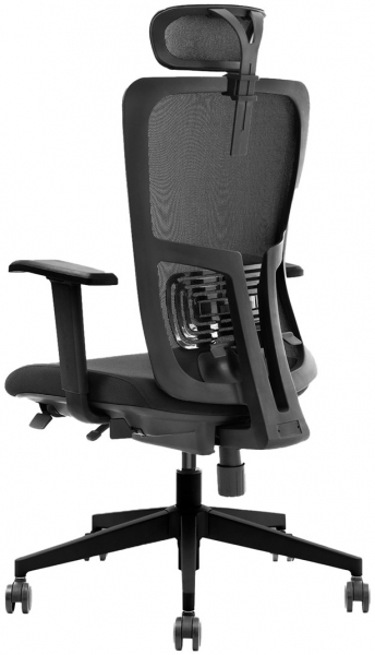 Decofis Lumbar Plus Yönetici Koltuğu
