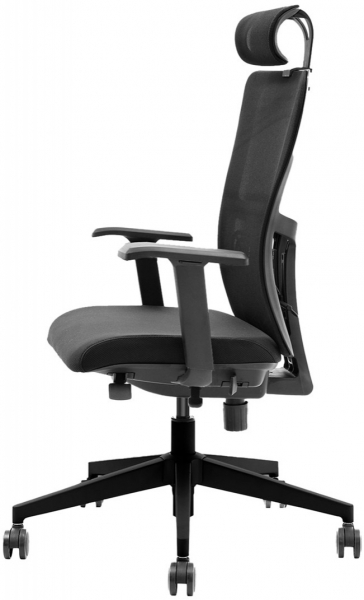 Decofis Lumbar Plus Yönetici Koltuğu