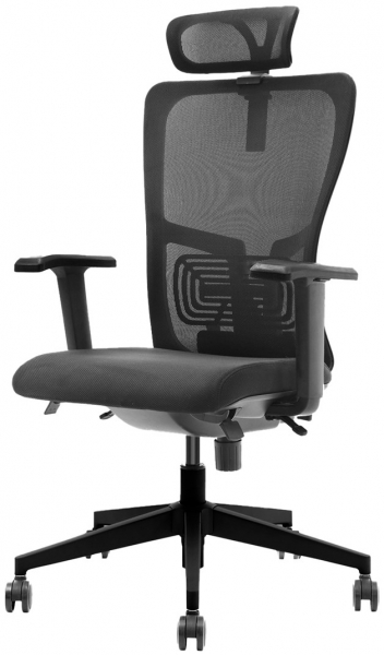 Decofis Lumbar Plus Yönetici Koltuğu