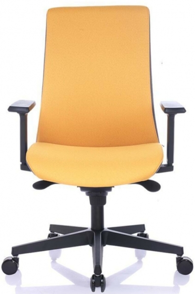 Bürosit Ori Çalışma Koltuğu