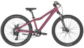 Scott Contessa 24 Disc resim