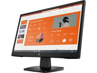 HP P22va G4 Monitör