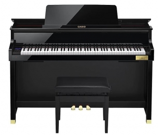 Casio GP-510BP