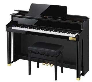 Casio GP-510BP