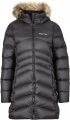 Marmot Montreal resim