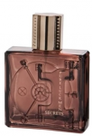 Linn Young Pure Luck Men Secrets EDT 100 ml Erkek Parfümü resim