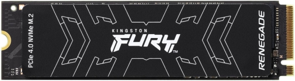 Kingston Fury Renegade SSD (500 GB)