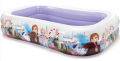Intex Frozen resim