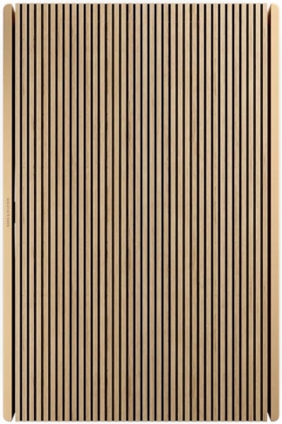 Bang & Olufsen Beosound Level Çoklu Oda