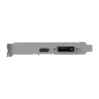 PNY GeForce GT 1030 Ekran Kartı