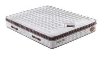 Bedgo Double Core 180x200 cm Visco + Yaylı Yatak