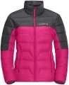 Jack Wolfskin DNA Tundra W resim
