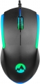 Everest SM-GX56 Zone resim