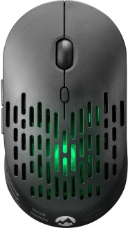 Everest SM-W73 Mouse