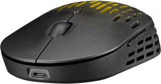 Everest SM-W73 Mouse