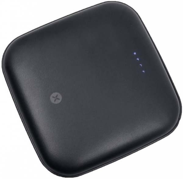 Dexim A20 10000 mAh Powerbank