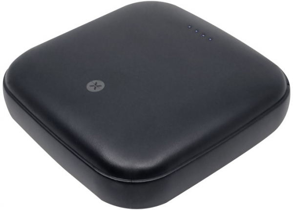 Dexim A20 10000 mAh Powerbank