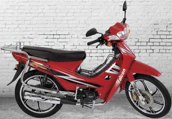 Falcon Magic 100 Lüx Cub