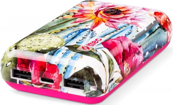 ttec ArtPower 10000 mAh Powerbank