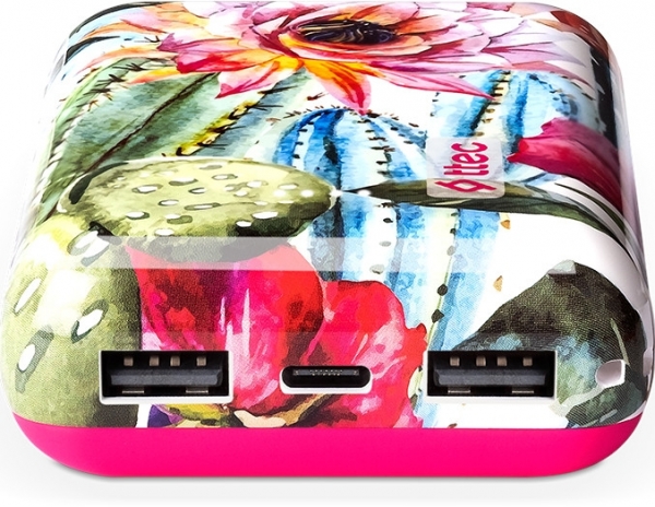 ttec ArtPower 10000 mAh Powerbank