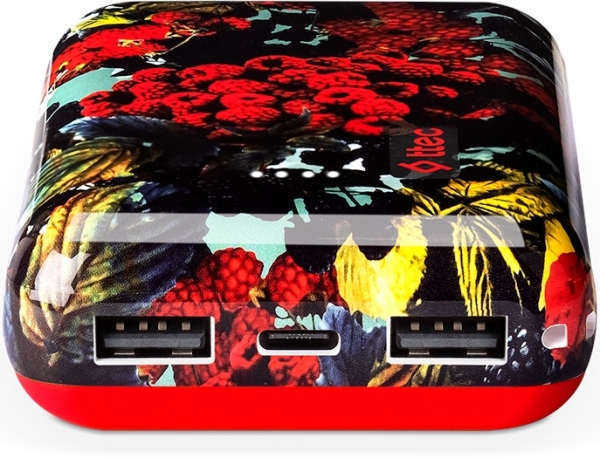 ttec ArtPower 10000 mAh Powerbank