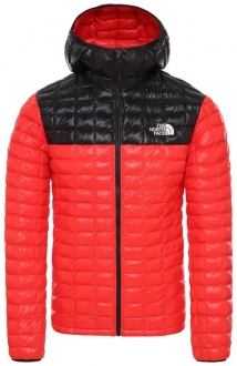 The North Face Thermoball Eco Hooded Erkek Şişme Mont