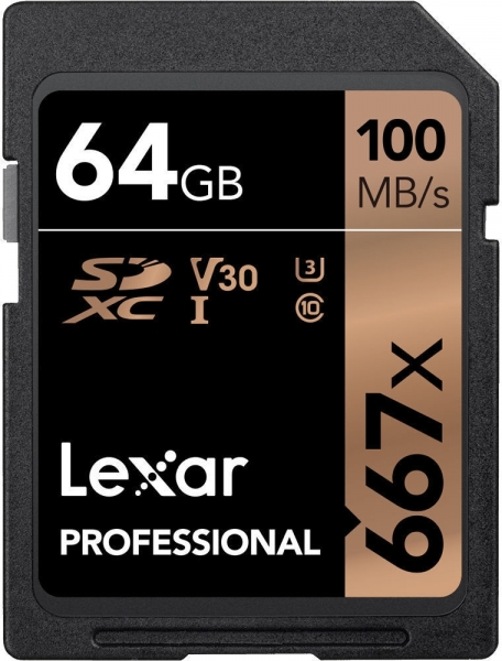 Lexar Professional 667x SD