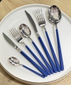 PM Leonardo Dali Platin Blue 42 Parça resim