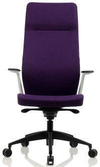 Bürosit Arc Chair Uzun Yönetici Koltuğu