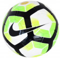 Nike Premier Team resim