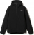 The North Face Mountain Light Erkek Mont