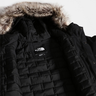 The North Face Zaneck Erkek Mont