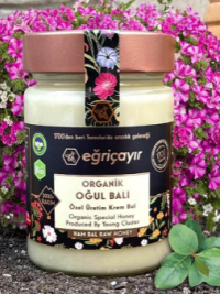 Eğriçayır Organik Oğul Balı 450 gr resim