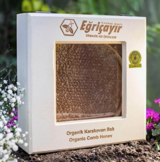 Eğriçayır Karakovan Petek Bal Organik Sertifikalı 1.3 kg