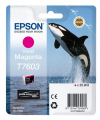 Epson T7603