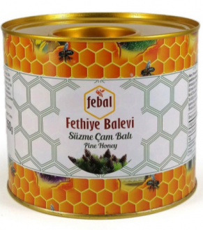 Fethiye Balevi Süzme Çam Balı 2.85 kg