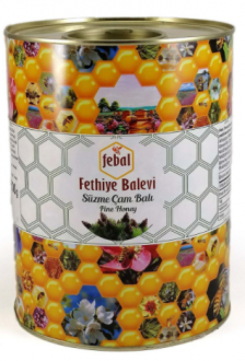 Fethiye Balevi Süzme Çam Balı 4.8 kg