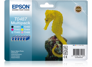 Epson T0487 Kartuş