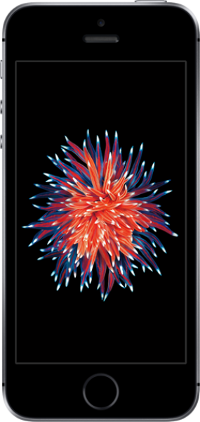 Apple iPhone SE (32 GB)