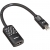 Belkin Mini DisplayPort to HDMI Dönüştürücü