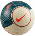 Nike Liverpool FC Strike DC2377-238 resim